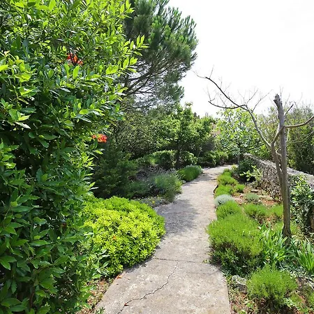 Apartment Myrtus