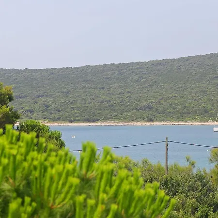 Myrtus