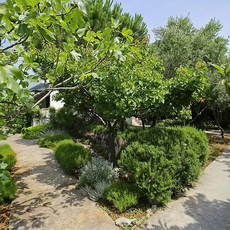 Διαμέρισμα Myrtus